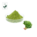 High Quality Spinach Powder